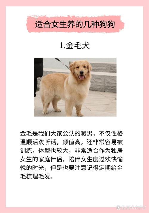 寵物狗大全_寵物狗大全狗品種介紹_寵物狗狗品種大全及圖片帶名字