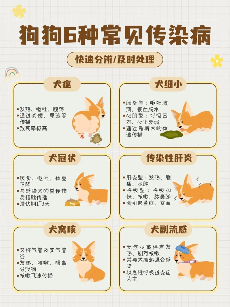 寵物網(wǎng)站排名_關(guān)于寵物的網(wǎng)站_寵物網(wǎng)站交易市場(chǎng)