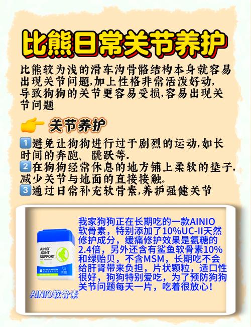犬比熊多少錢一只_犬比熊芒果視頻_比熊犬