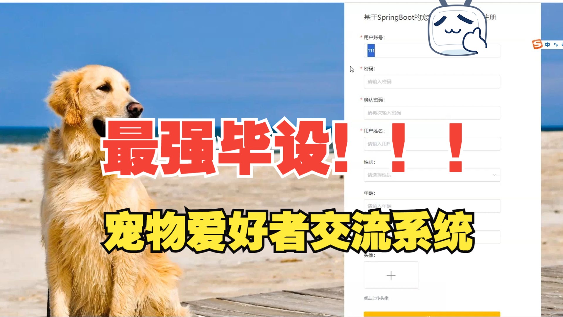 petfinder寵物網(wǎng)站_關(guān)于寵物的網(wǎng)站_寵物網(wǎng)站參考文獻(xiàn)