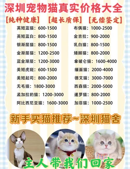 寵物貓交易網(wǎng)站大全_寵物貓交易平臺(tái)_寵物貓交易網(wǎng)站