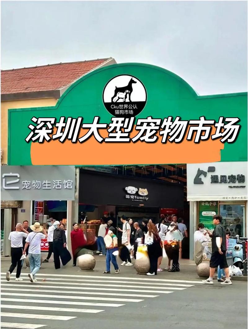 寵物市場深圳_深圳 寵物市場_深圳寵物市場在哪里幾點(diǎn)關(guān)門