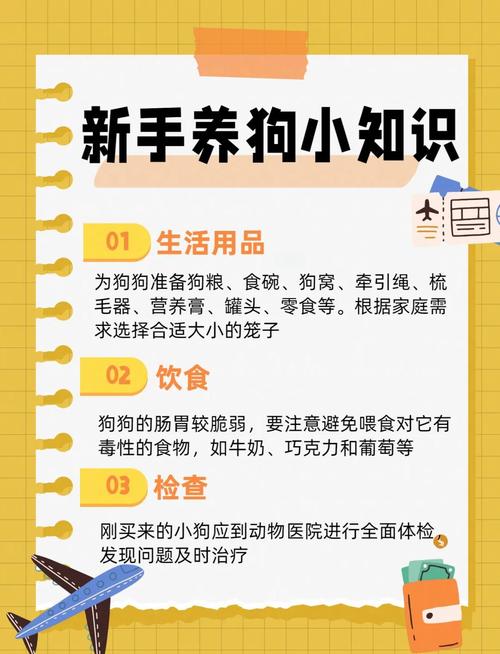 迷你貴賓狗成狗能長(zhǎng)到幾斤_迷你貴賓狗_迷你貴賓犬