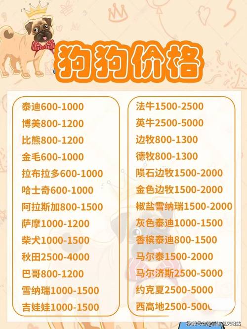 茶杯犬哪里有賣_茶杯狗便宜的多少一只_狗市茶杯犬