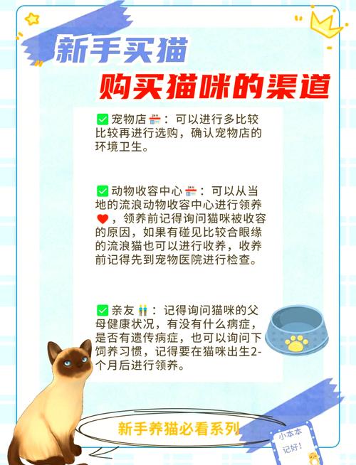 寵物貓交易平臺(tái)_最正規(guī)的寵物貓交易網(wǎng)站_寵物貓交易網(wǎng)站