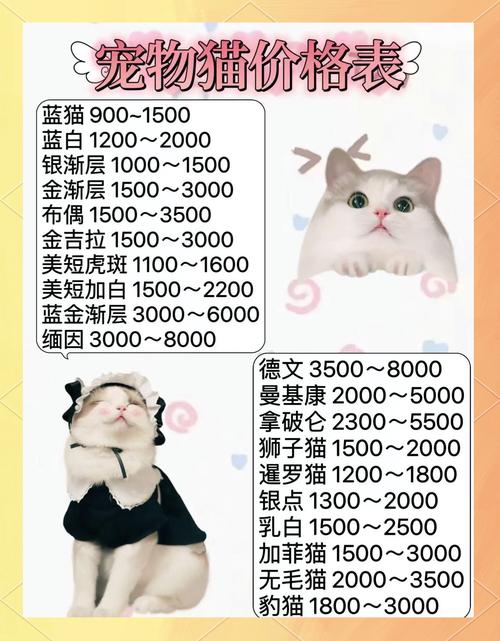 寵物市場(chǎng)北京_北京寵物市場(chǎng)排名_北京 寵物市場(chǎng)