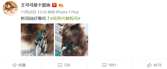 王思聰稱明星同款狗鏈子只值20元，這是在裝窮了
