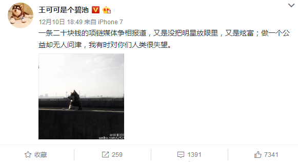 王思聰稱明星同款狗鏈子只值20元，這是在裝窮了