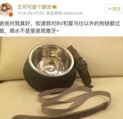 狗界贏家 王思聰給王可可買愛馬仕狗鏈 孫茜為愛犬辦葬禮