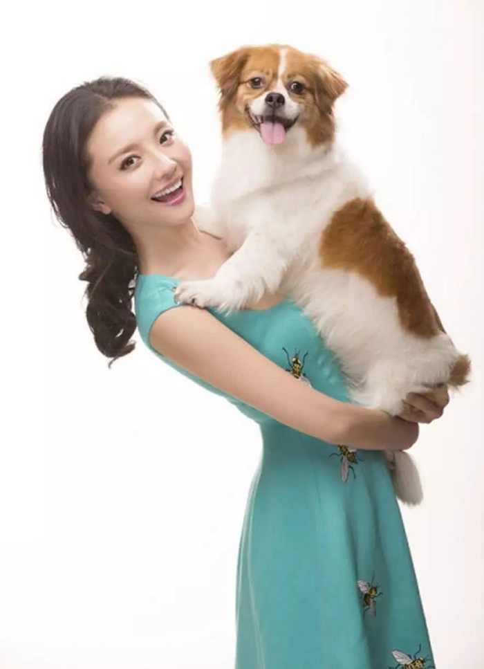 狗界贏家 王思聰給王可可買愛馬仕狗鏈 孫茜為愛犬辦葬禮