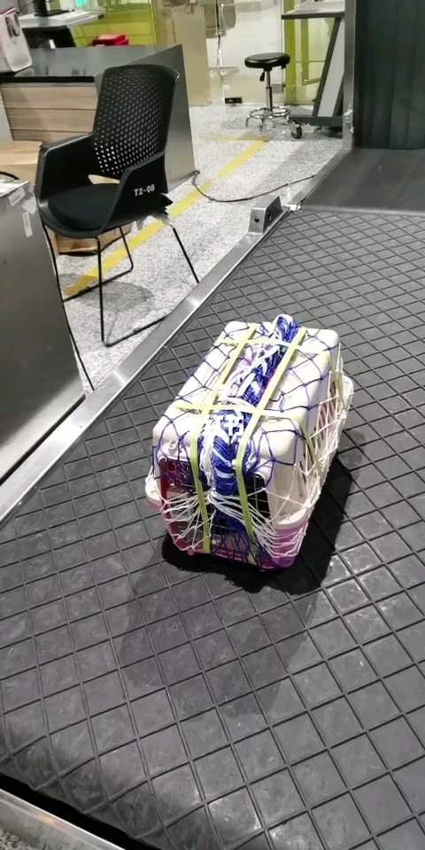 飛機(jī)托運(yùn)寵物貓咪多少錢一只_飛機(jī)貓咪托運(yùn)多少錢_貓咪飛機(jī)托運(yùn)多少錢