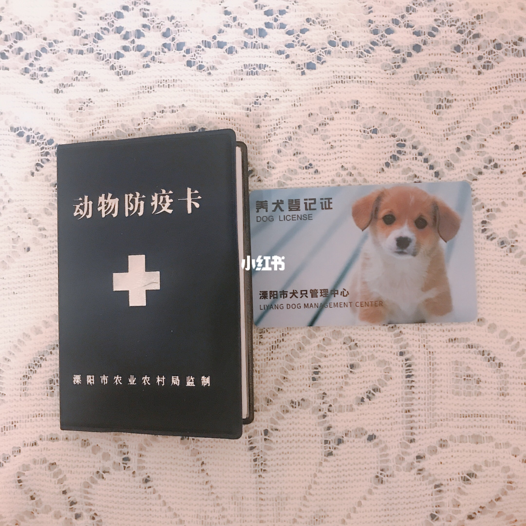 可以辦狗證的狗列表_唐山養(yǎng)德牧辦狗證_養(yǎng)狗辦證要多少錢(qián)