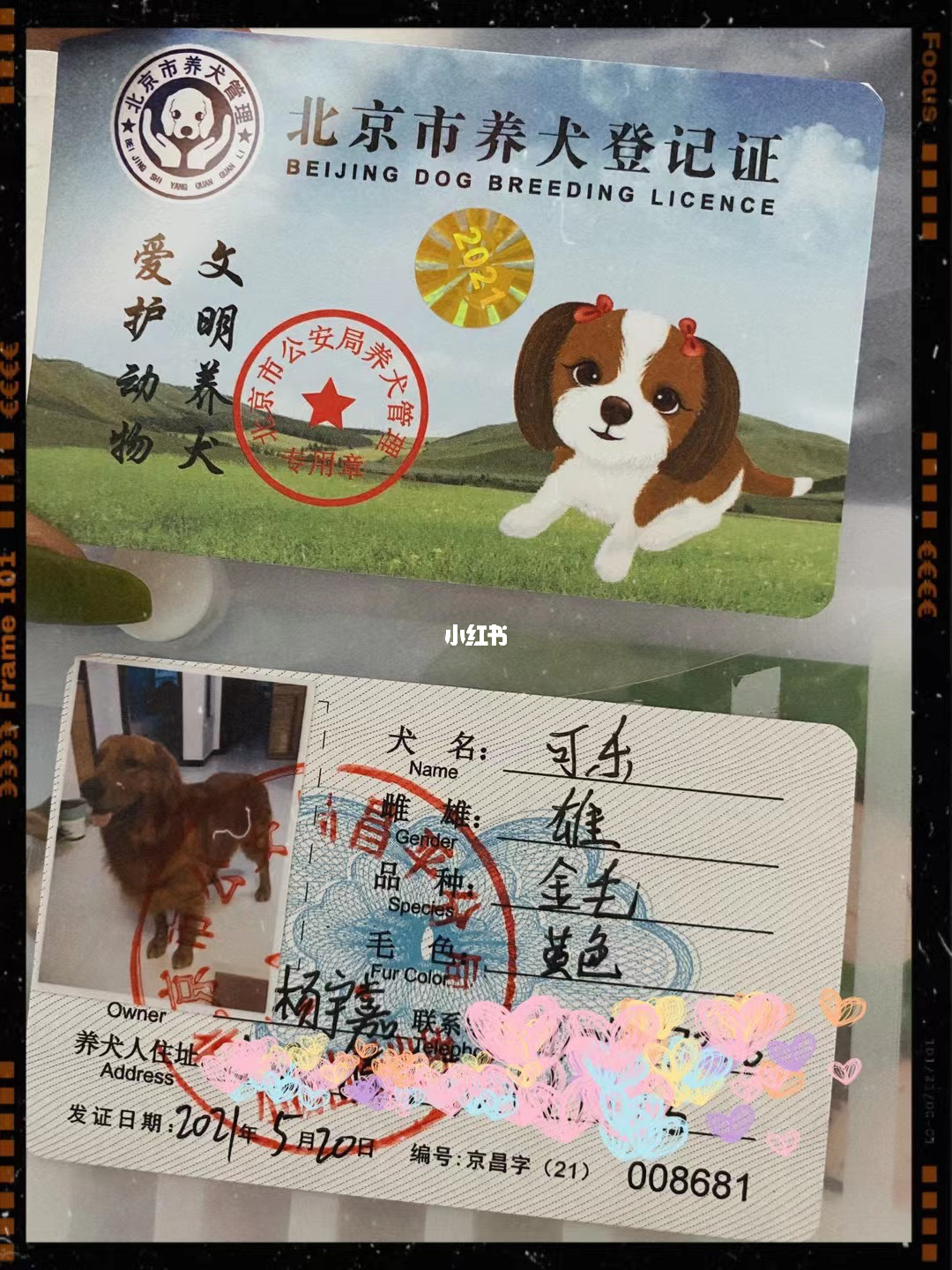 養(yǎng)狗辦證要多少錢(qián)_可以辦狗證的狗列表_唐山養(yǎng)德牧辦狗證