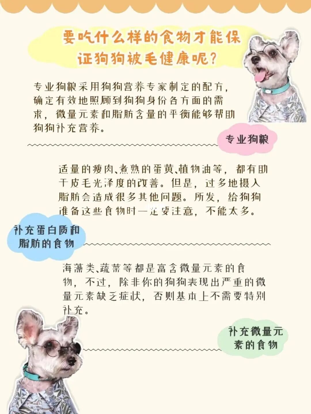 怎樣科學(xué)圈養(yǎng)草狗_科學(xué)養(yǎng)雞技術(shù)_科學(xué)養(yǎng)狗新技術(shù)