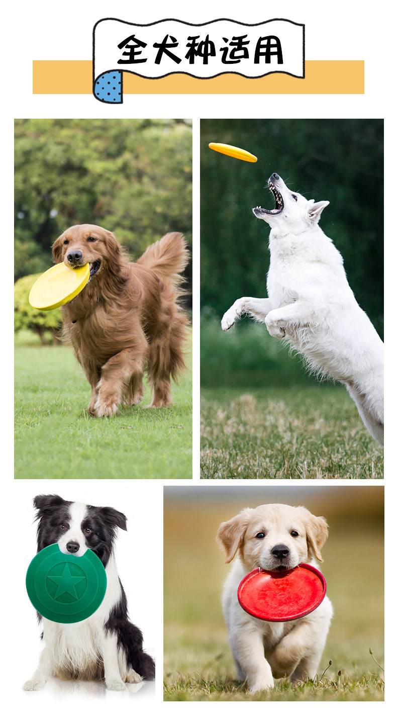 邊境牧羊犬飛盤訓(xùn)練_狗狗專用飛盤圖片_訓(xùn)練狗狗飛盤