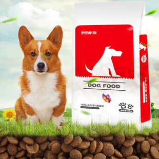 最長壽命的狗_壽命最長狗品種_狗最長壽命