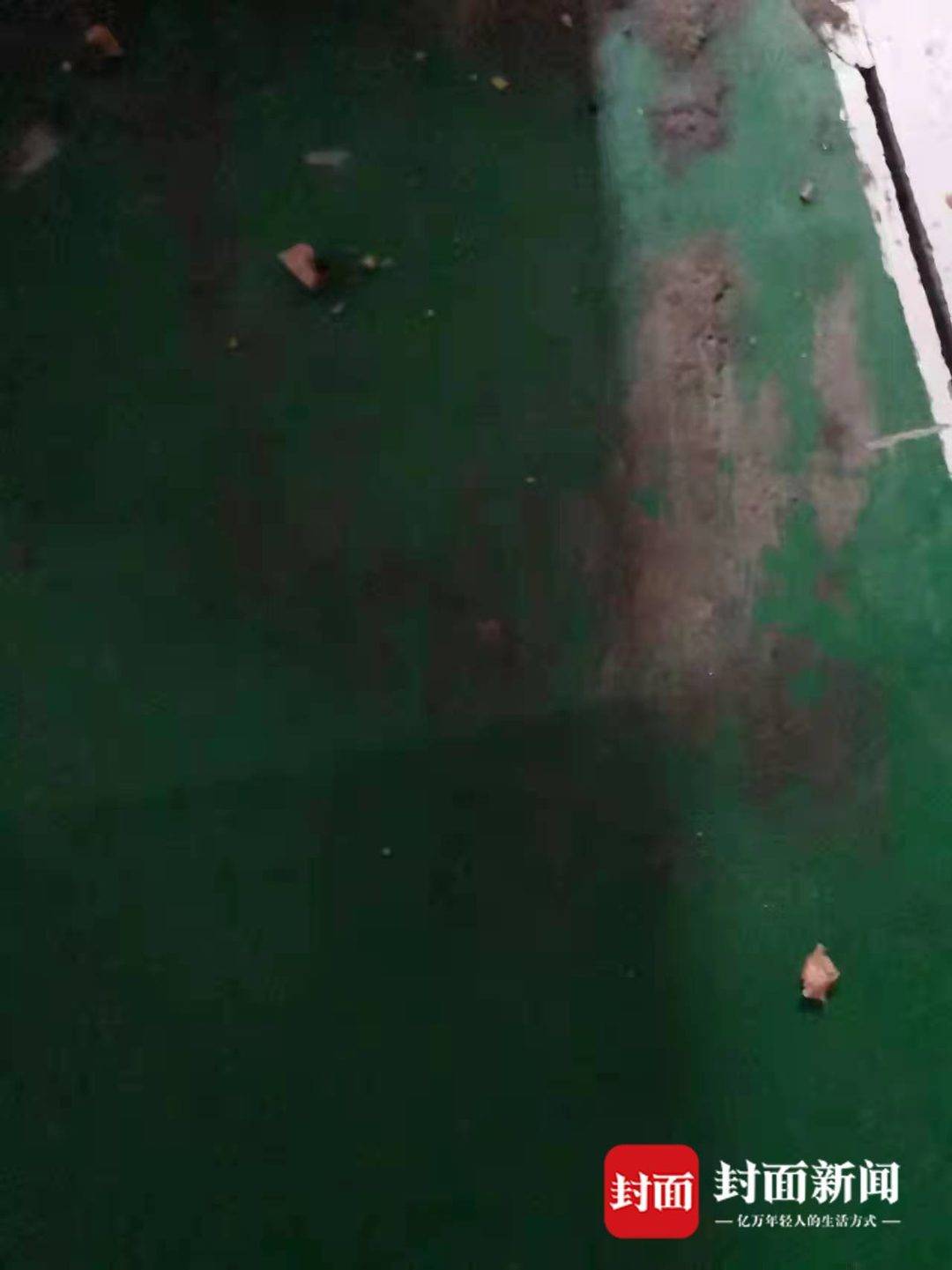 武漢一小區(qū)多只寵物狗疑吃有毒火腿腸后死亡 鄰居回應被指“投毒”：有誤會
