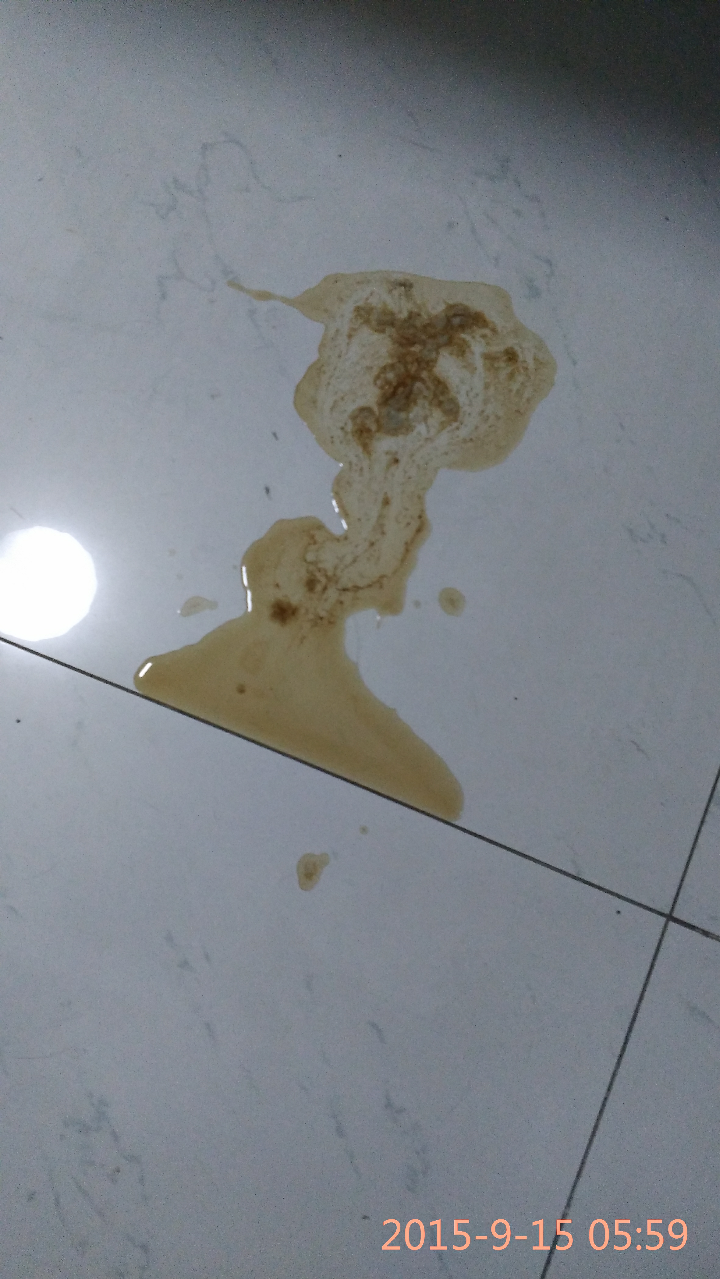 泰迪和田園犬雜交狗_法斗和泰迪雜交成犬圖_中華田園犬和金毛雜交