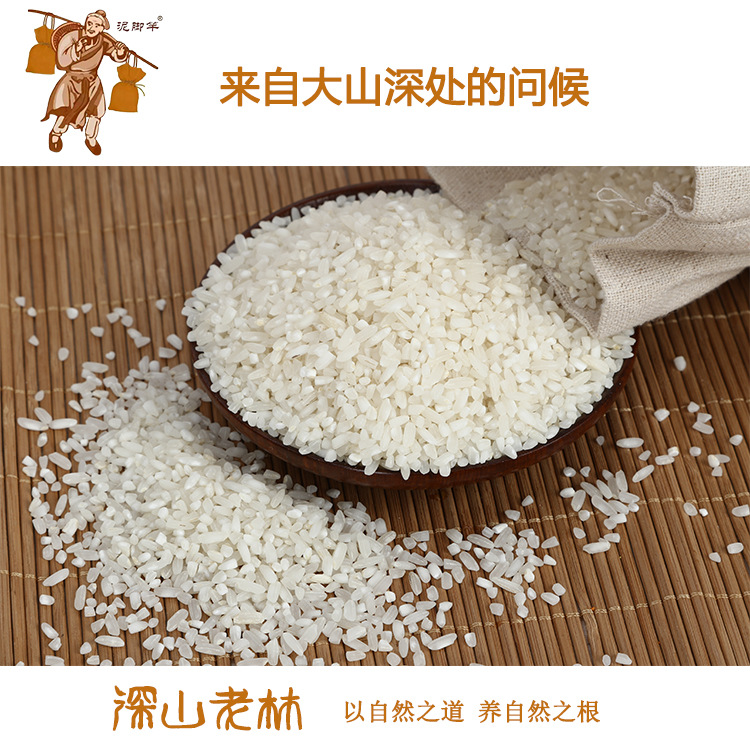 小短腿狗狗的品種_大耳朵狗立狗品種大全_小品種狗