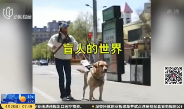 交警扮盲人帶導盲犬坐公交被拒 狗狗哭了 太原公交致歉：扣罰當值司機工資