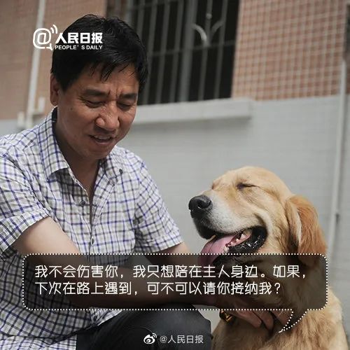 交警扮盲人帶導盲犬坐公交被拒 狗狗哭了 太原公交致歉：扣罰當值司機工資