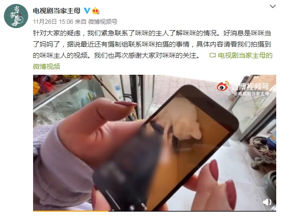 《當(dāng)家主母》陷虐貓羅生門 沒(méi)有動(dòng)物受傷成奢求？