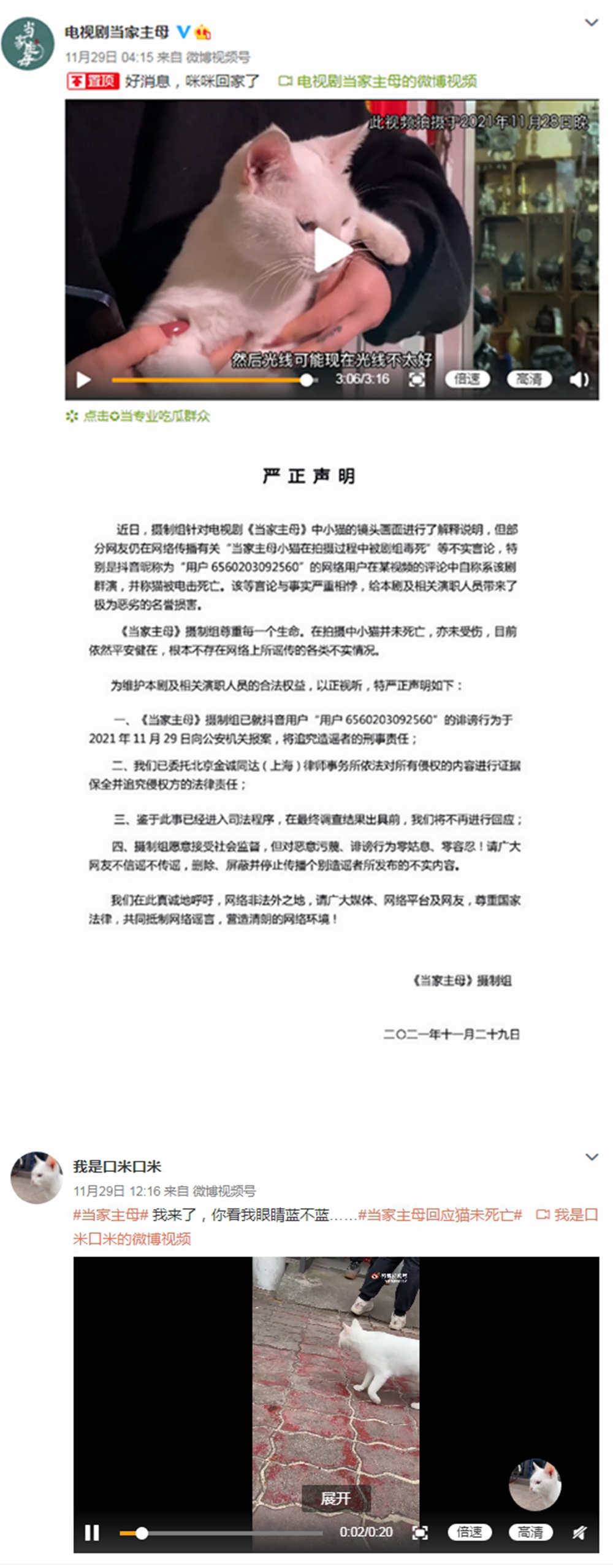 《當(dāng)家主母》陷虐貓羅生門 沒(méi)有動(dòng)物受傷成奢求？