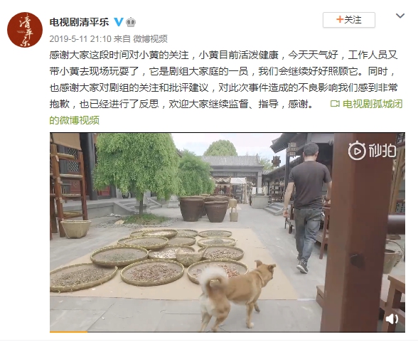《當(dāng)家主母》陷虐貓羅生門 沒(méi)有動(dòng)物受傷成奢求？