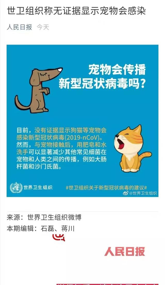 微軟面試題 病狗_病狗神題_狗 病