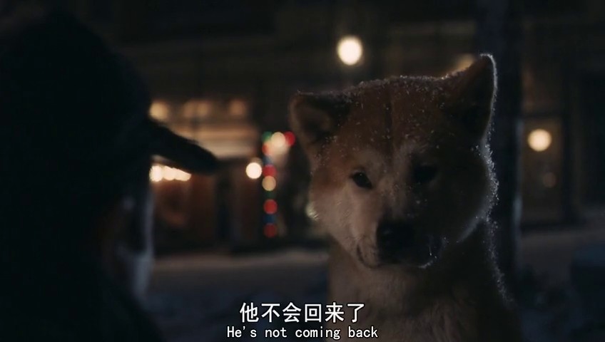 忠犬八公和忠犬八公物語(yǔ)_忠犬八公是什么品種的狗_忠犬八公是什么品種狗