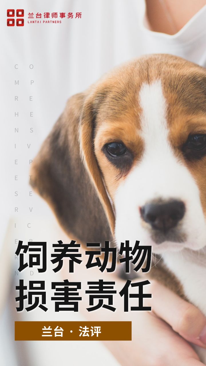 養(yǎng)哪幾種狗好養(yǎng)能賺錢_養(yǎng)一只貓一只狗還是養(yǎng)兩只狗_成都城市養(yǎng)狗規(guī)定