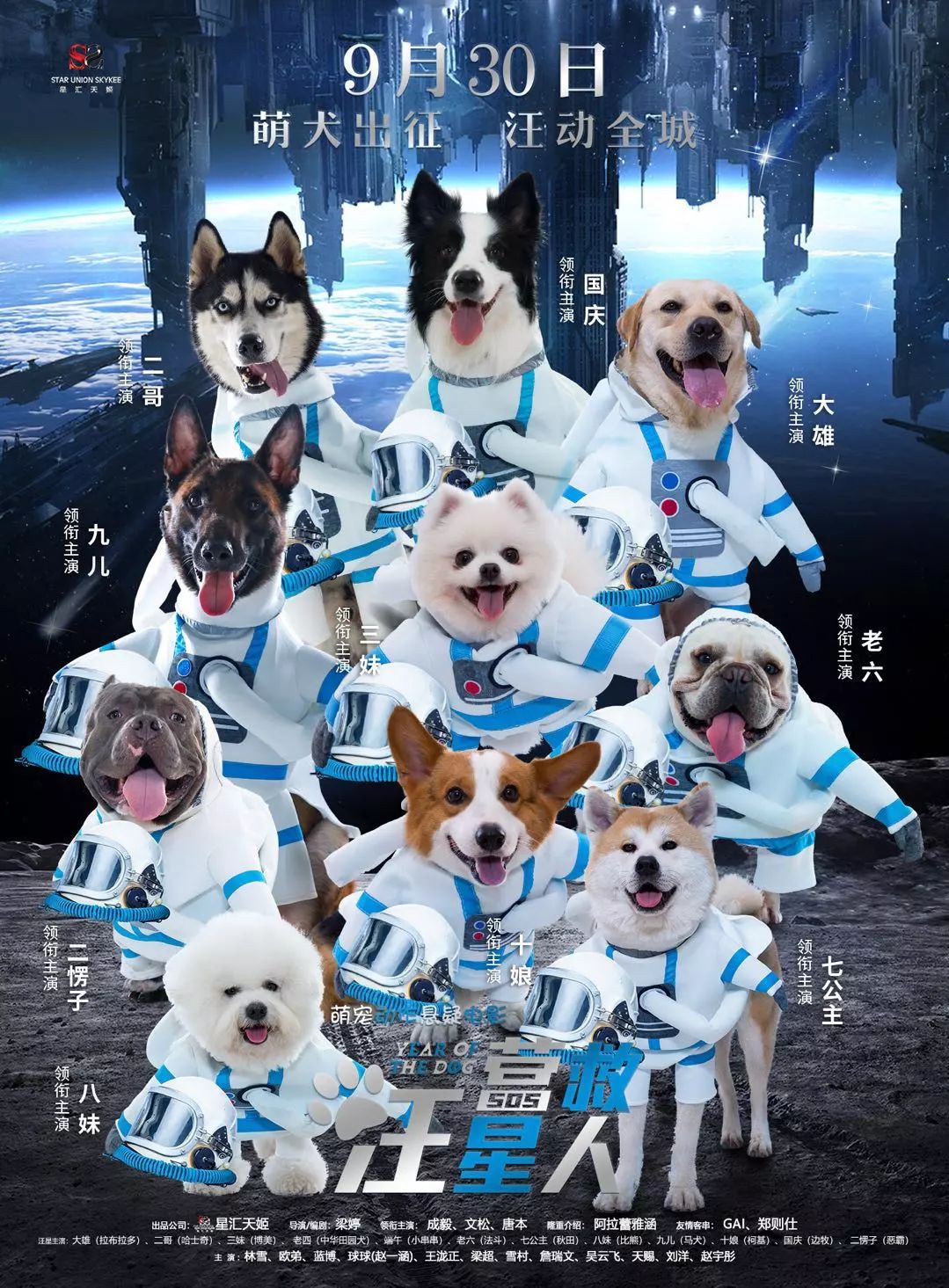 養(yǎng)博美犬好還是養(yǎng)泰迪狗好_養(yǎng)狗女人群日狗圖片_養(yǎng)一只貓一只狗還是養(yǎng)兩只狗