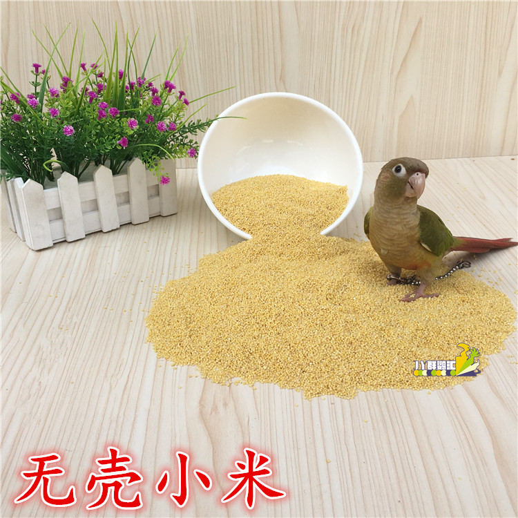 皮鸚鵡吃什么_和尚鸚鵡吃保健砂嗎_我欲封天鸚鵡皮凍是誰