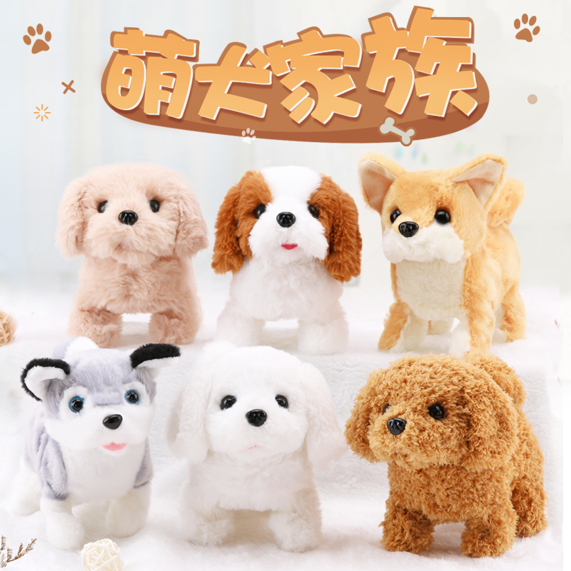 邏輯狗卡片圖片_養(yǎng)狗邏輯圖片_養(yǎng)哪幾種狗好養(yǎng)能賺錢