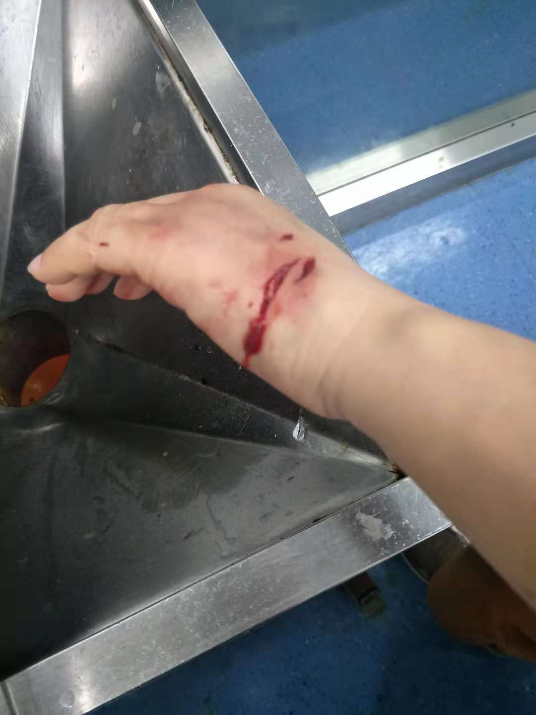 狗品種_狗品種大全_品種狗