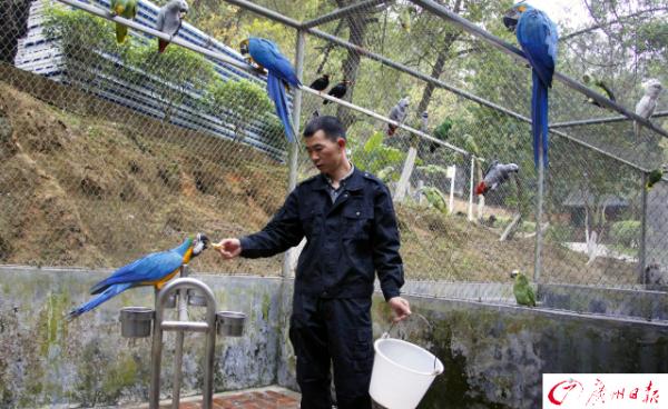 林兆銘和他的動物朋友們。 文內(nèi)圖均來自 廣州日報(bào)