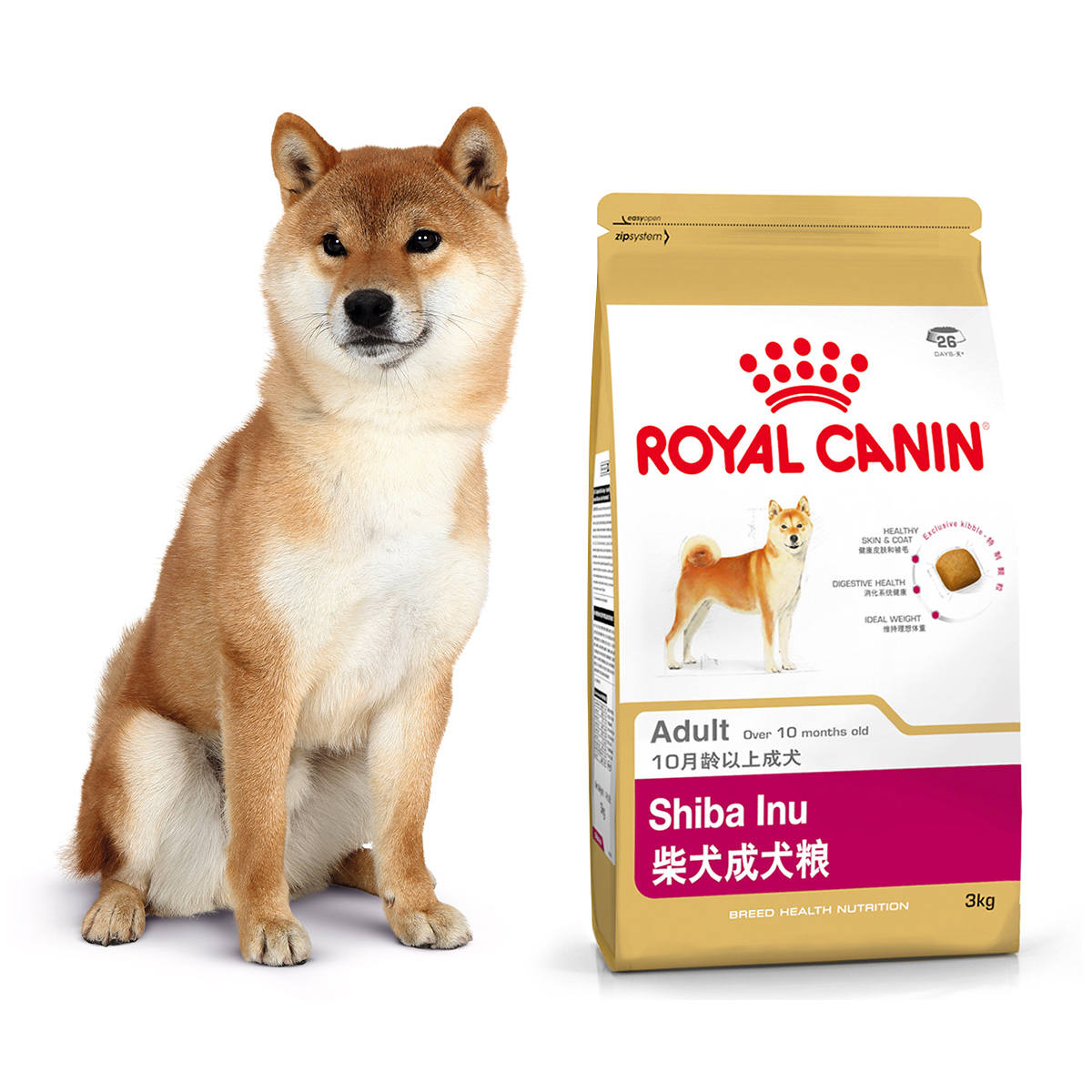 狗狗品種大全及圖片狗_小鹿狗品種大全圖片大全_狗狗大全及品種圖片