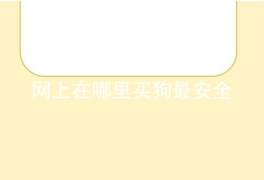 網(wǎng)上在哪里買狗最安全