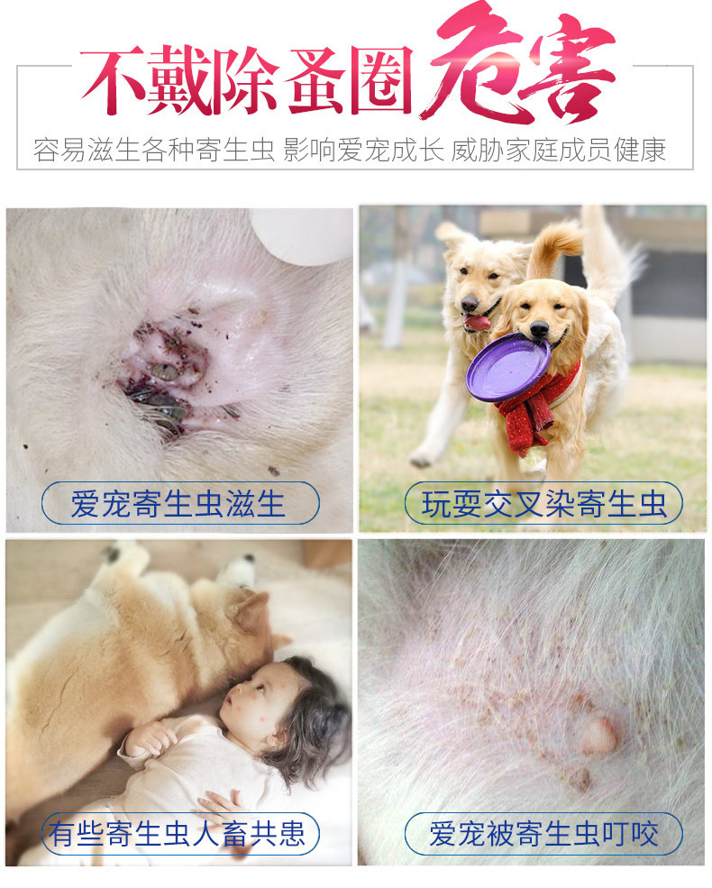 養(yǎng)狗養(yǎng)貓_狗和貓能同時(shí)養(yǎng)嗎_上海貓背貓奶奶賣房子養(yǎng)流浪貓