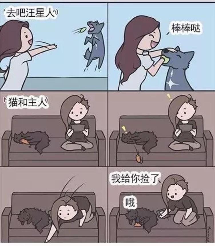 養(yǎng)貓vs養(yǎng)狗的一些區(qū)別，主人享受了不同的待遇