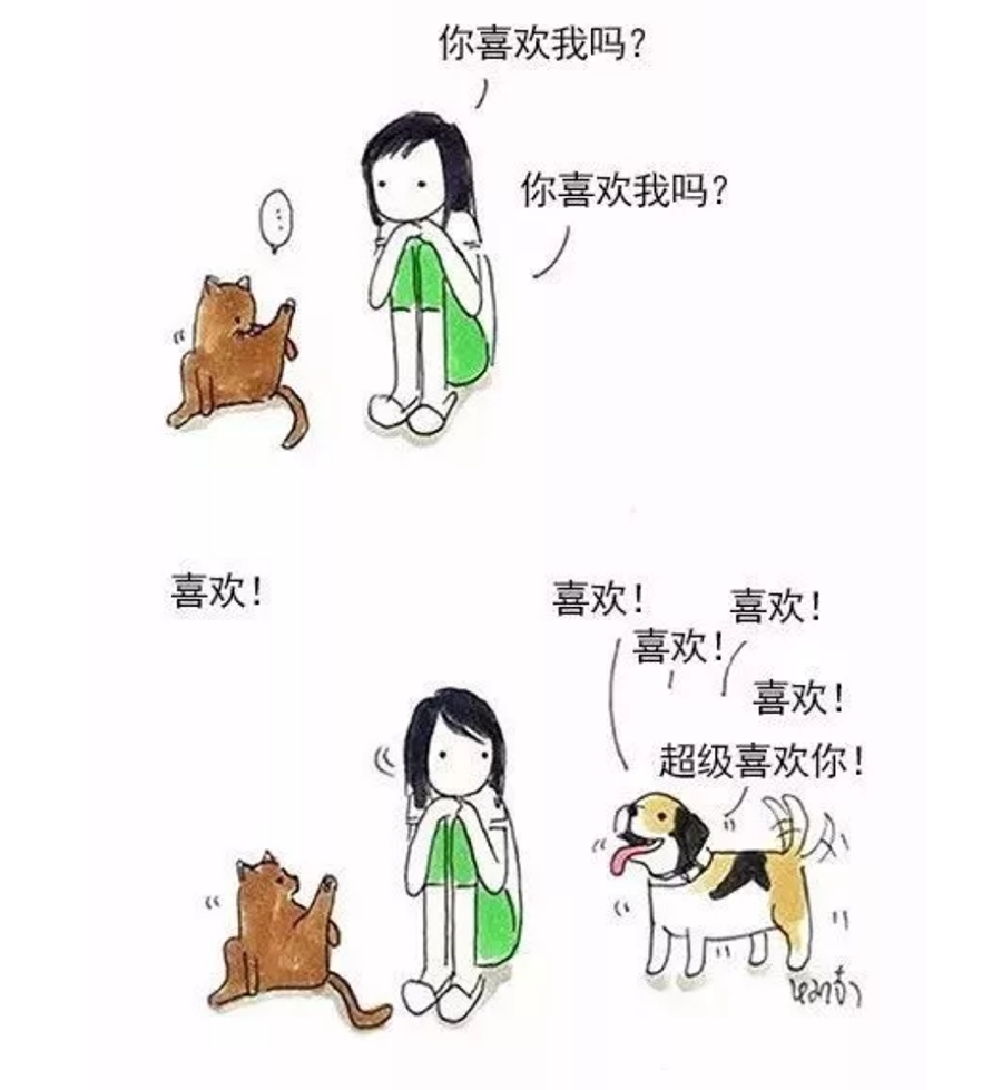 養(yǎng)貓vs養(yǎng)狗的一些區(qū)別，主人享受了不同的待遇