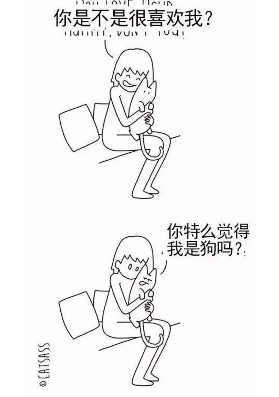 養(yǎng)貓vs養(yǎng)狗的一些區(qū)別，主人享受了不同的待遇