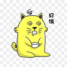 去哪買緬因貓