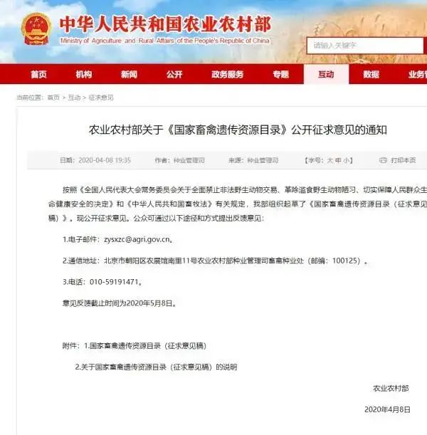 網(wǎng)傳全國禁止吃狗？農(nóng)業(yè)農(nóng)村部：狗為伴侶動物擬禁食