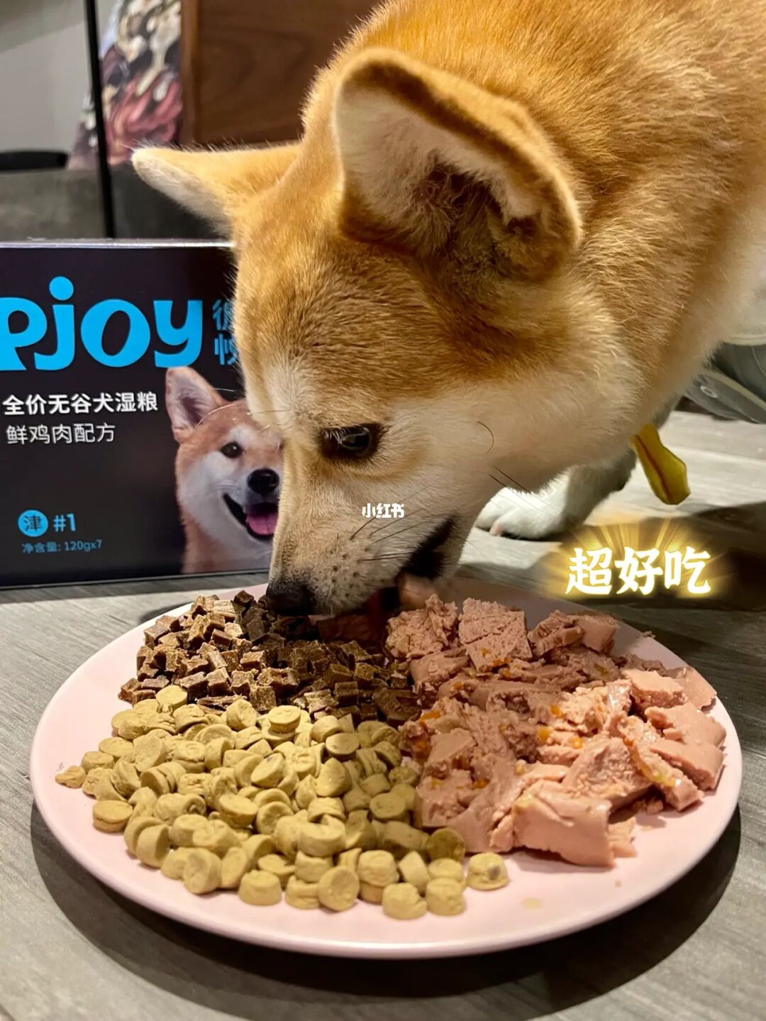 養(yǎng)貓費錢還是養(yǎng)狗費錢_大型犬哪個好養(yǎng)不費錢_貓跟狗哪個比較好養(yǎng)