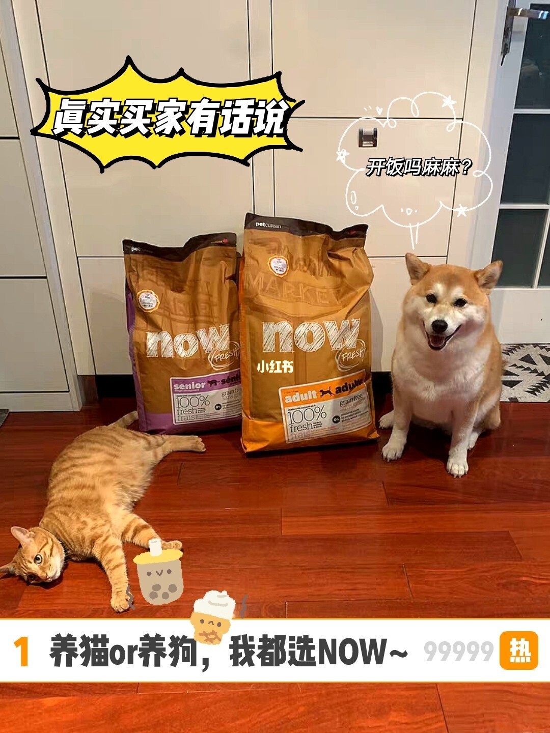 大型犬哪個好養(yǎng)不費錢_貓跟狗哪個比較好養(yǎng)_養(yǎng)貓費錢還是養(yǎng)狗費錢