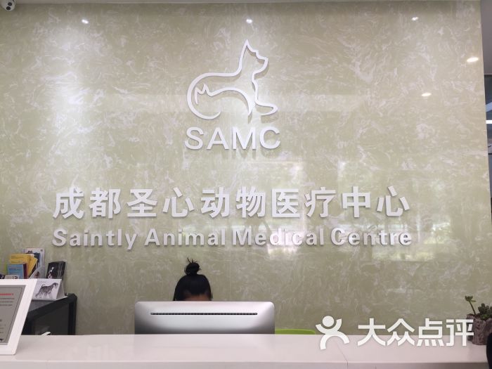 寵物店病狗特征_成都寵物店病狗_寵物店買到病狗