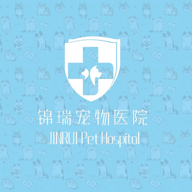 寵物店病狗特征_寵物店買到病狗_成都寵物店病狗