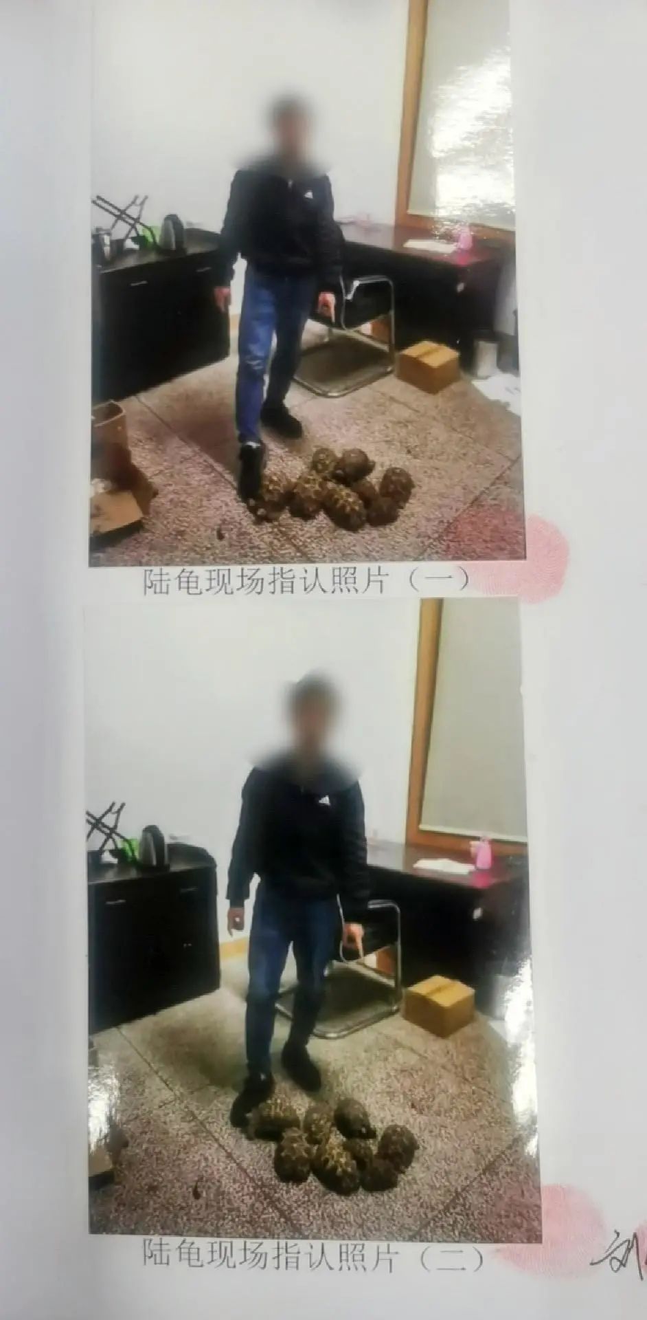 長沙一水族館老板把家變“野生動物園”被舉報(bào)，民警看到后驚呆了