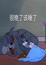 寵物貓好好的就死了